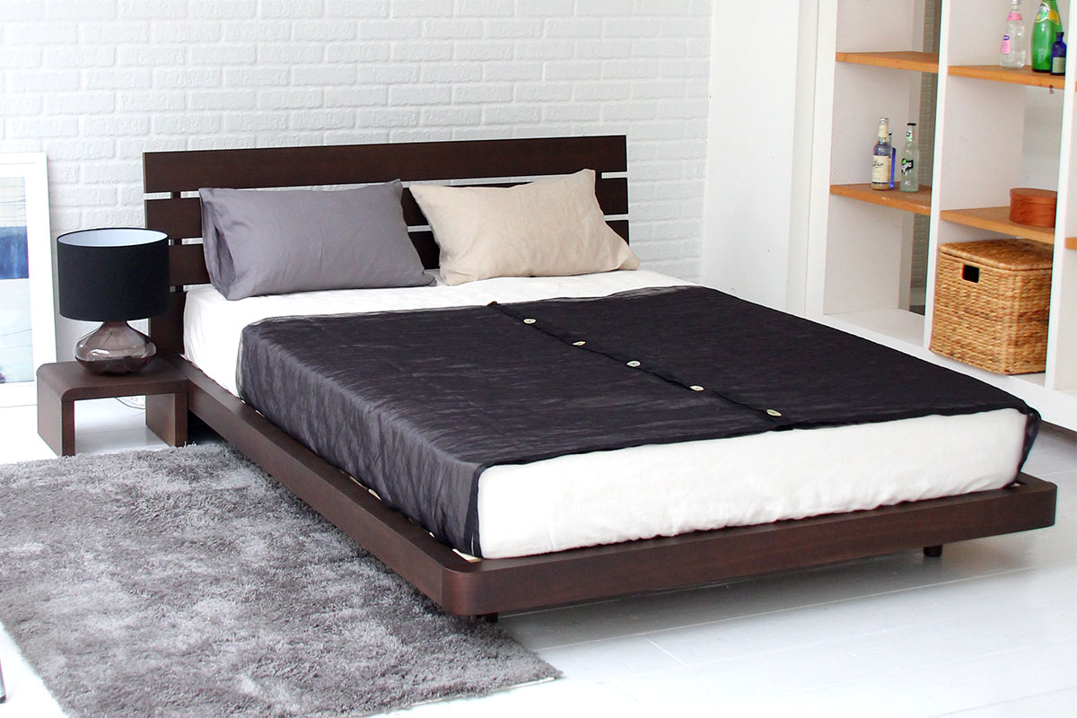 ルーシー(ブラウン)