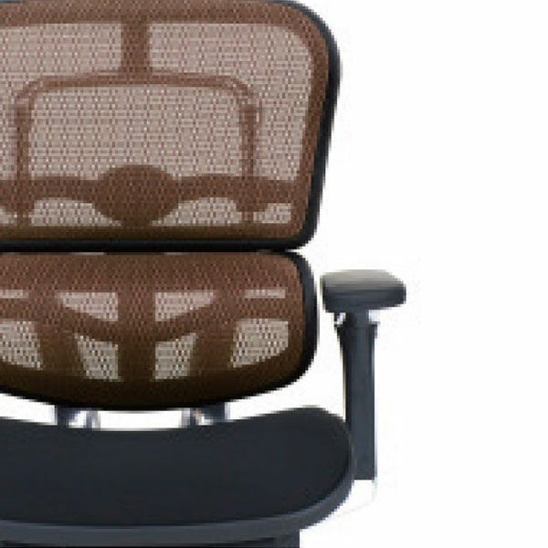 エルゴヒューマンベーシック ロータイプ　美品 Ergohumanエルゴヒューマンベーシックロータイプ/エラスト