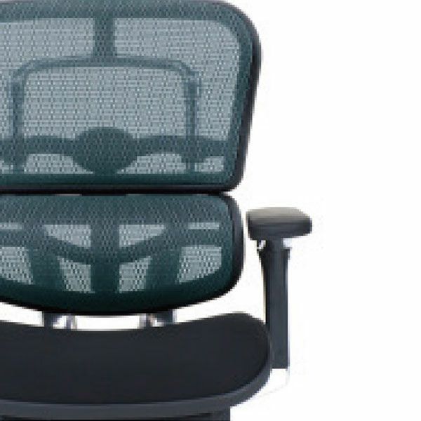 エルゴヒューマンベーシック ロータイプ　美品 Ergohumanエルゴヒューマンベーシックロータイプ/エラスト